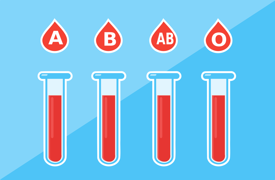 4 kan grubu vardır A, B, AB, O