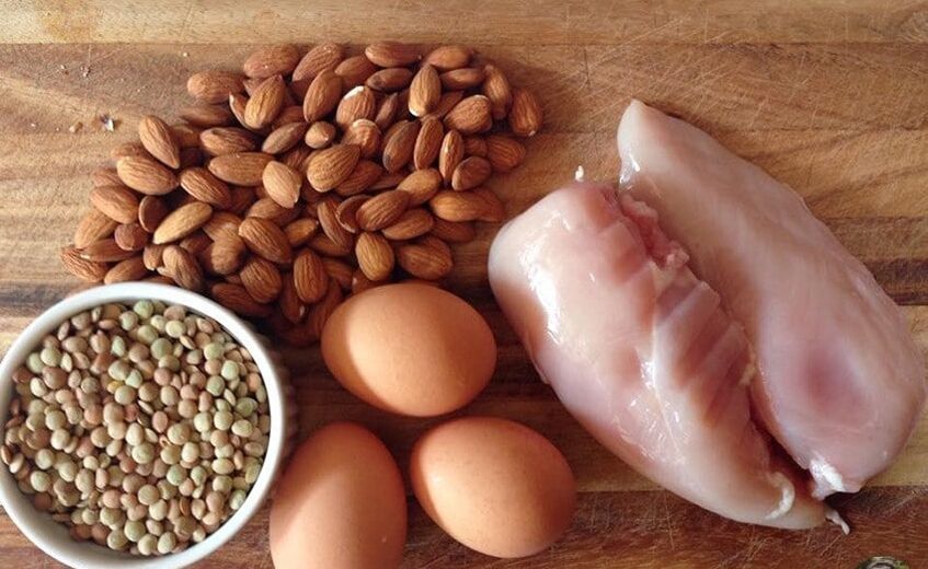 protein gıdası